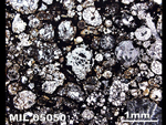 Thin Section Photograph of Sample MIL 05050 in Plane-Polarized Light
