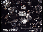Thin Section Photo of Sample MIL 05069  in Plane-Polarized Light