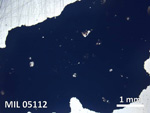Thin Section Photo of Sample MIL 05112 in Plane-Polarized Light with 5X Magnification