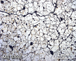 Thin Section Photograph of Sample MIL 07001 in Plane-Polarized Light