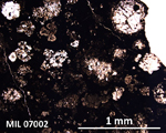 Thin Section Photograph of Sample MIL 07002 in Plane-Polarized Light