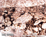 Thin Section Photograph of Sample MIL 07008 in Plane-Polarized Light