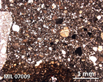 Thin Section Photograph of Sample MIL 07009 in Plane-Polarized Light