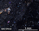Thin Section Photograph of Sample MIL 07010 in Cross-Polarized Light