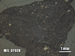Thin Section Photo of Sample MIL 07028 at 1.25X Magnification in Reflected Light
