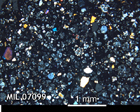 Thin Section Photo of Sample MIL 07099 in Cross-Polarized Light with 2.5x Magnification