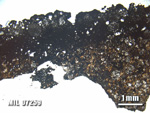 Thin Section Photo of Sample MIL 07259 at 1.25X Magnification in Plane-Polarized Light