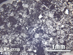 Thin Section Photo of Sample MIL 07259 at 2.5X Magnification in Reflected Light