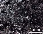 Thin Section Photograph of Sample MIL 07273 in Plane-Polarized Light