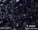 Thin Section Photograph of Sample MIL 07273 in Cross-Polarized Light
