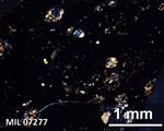 Thin Section Photograph of Sample MIL 07277 in Cross-Polarized Light