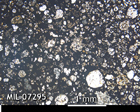 Thin Section Photo of Sample MIL 07295 in Plane-Polarized Light with 2.5x Magnification