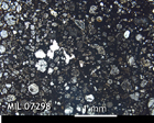 Thin Section Photo of Sample MIL 07298 in Plane-Polarized Light with 2.5x Magnification
