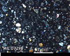 Thin Section Photo of Sample MIL 07298 in Cross-Polarized Light with 2.5x Magnification