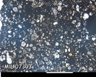 Thin Section Photo of Sample MIL 07303 in Plane-Polarized Light with 2.5x Magnification