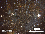 Thin Section Photo of Sample MIL 07310 at 2.5X Magnification in Cross-Polarized Light