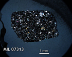 Thin Section Photo of Sample MIL 07313 in Cross-Polarized Light with 1.25x Magnification