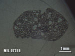 Thin Section Photo of Sample MIL 07315 at 1.25X Magnification in Reflected Light