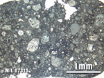 Thin Section Photo of Sample MIL 07315 at 2.5X Magnification in Plane-Polarized Light
