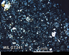 Thin Section Photo of Sample MIL 07341 in Cross-Polarized Light with 2.5x Magnification