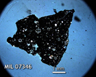 Thin Section Photo of Sample MIL 07346 in Cross-Polarized Light with 1.25x Magnification