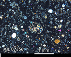 Thin Section Photo of Sample MIL 07356 in Cross-Polarized Light with 2.5x Magnification