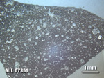 Thin Section Photo of Sample MIL 07361 at 1.25X Magnification in Reflected Light