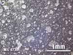 Thin Section Photo of Sample MIL 07361 at 2.5X Magnification in Reflected Light