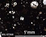 Thin Section Photograph of Sample MIL 07368 in Plane-Polarized Light