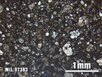 Thin Section Photo of Sample MIL 07383 at 2.5X Magnification in Plane-Polarized Light