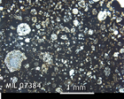 Thin Section Photo of Sample MIL 07384 in Plane-Polarized Light with 2.5x Magnification