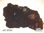 Thin Section Photo of Sample MIL 07385 at 1.25X Magnification in Plane-Polarized Light