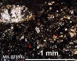 Thin Section Photograph of Sample MIL 07393 in Cross-Polarized Light