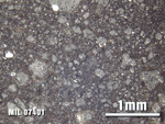 Thin Section Photo of Sample MIL 07401 at 2.5X Magnification in Reflected Light