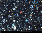 Thin Section Photo of Sample MIL 07407 in Cross-Polarized Light with 2.5x Magnification
