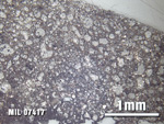 Thin Section Photo of Sample MIL 07417 at 2.5X Magnification in Reflected Light