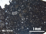 Thin Section Photo of Sample MIL 07418 at 2.5X Magnification in Plane-Polarized Light