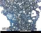 Thin Section Photo of Sample MIL 07421 in Plane-Polarized Light with 2.5x Magnification