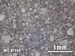 Thin Section Photo of Sample MIL 07445 at 2.5X Magnification in Reflected Light