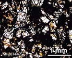 Thin Section Photograph of Sample MIL 07447 in Plane-Polarized Light