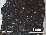 Thin Section Photo of Sample MIL 07459 at 2.5X Magnification in Plane-Polarized Light