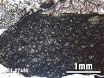 Thin Section Photo of Sample MIL 07460 at 2.5X Magnification in Plane-Polarized Light