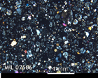 Thin Section Photo of Sample MIL 07506 in Cross-Polarized Light with 2.5x Magnification