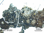 Thin Section Photo of Sample MIL 07525 at 1.25X Magnification in Plane-Polarized Light