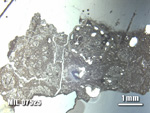 Thin Section Photo of Sample MIL 07525 at 1.25X Magnification in Reflected Light