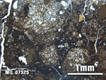 Thin Section Photo of Sample MIL 07525 at 2.5X Magnification in Plane-Polarized Light