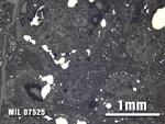 Thin Section Photo of Sample MIL 07525 at 2.5X Magnification in Reflected Light