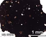 Thin Section Photograph of Sample MIL 07546 in Plane-Polarized Light
