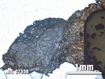 Thin Section Photo of Sample MIL 07558 at 2.5X Magnification in Plane-Polarized Light