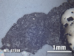 Thin Section Photo of Sample MIL 07558 at 2.5X Magnification in Reflected Light
